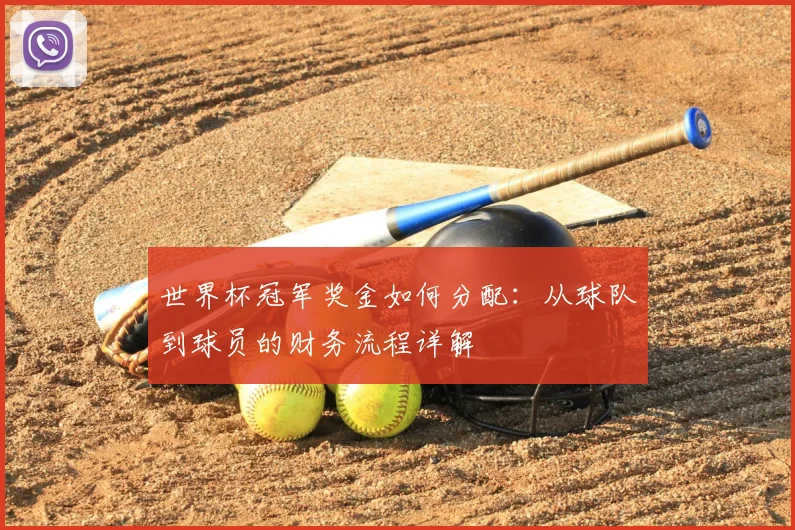 世界杯冠军奖金如何分配：从球队到球员的财务流程详解