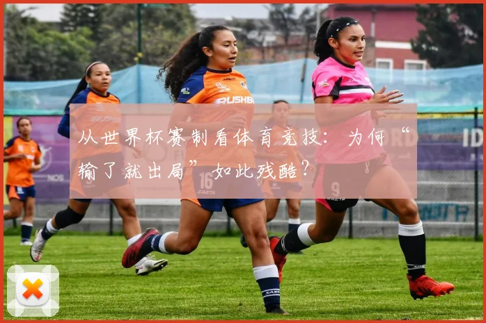 从世界杯赛制看体育竞技：为何“输了就出局”如此残酷？