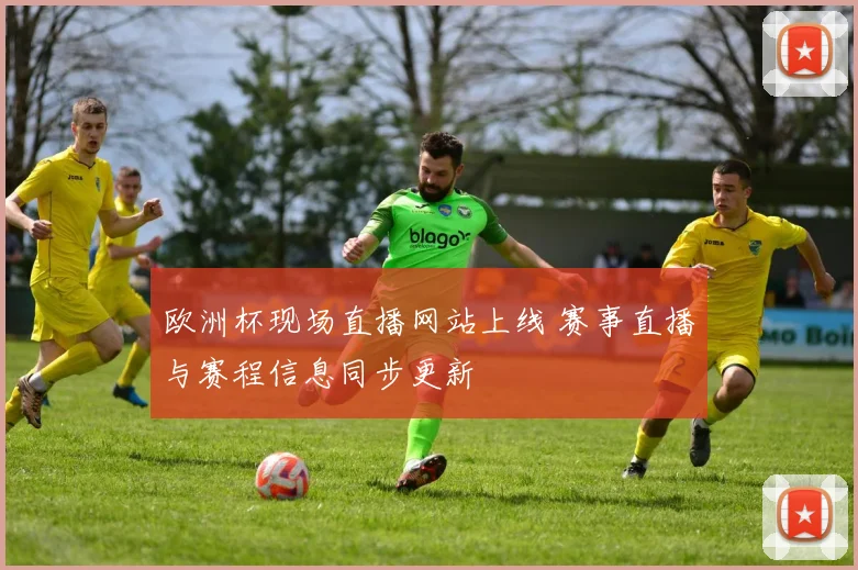 欧洲杯现场直播网站上线 赛事直播与赛程信息同步更新