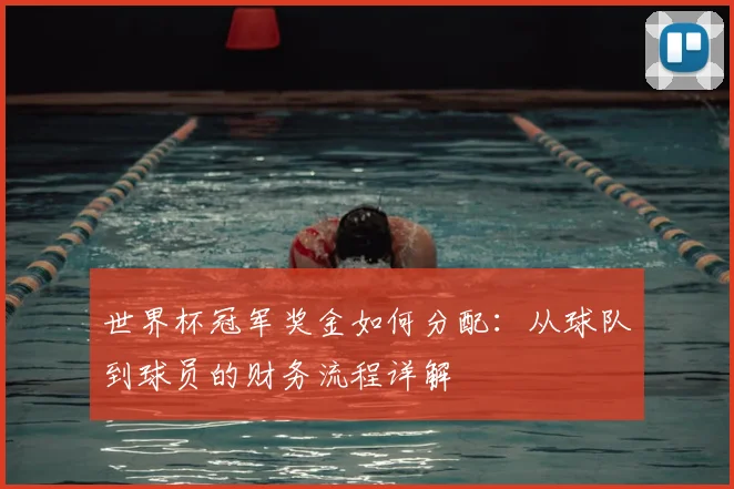 世界杯冠军奖金如何分配:从球队到球员的财务流程详解