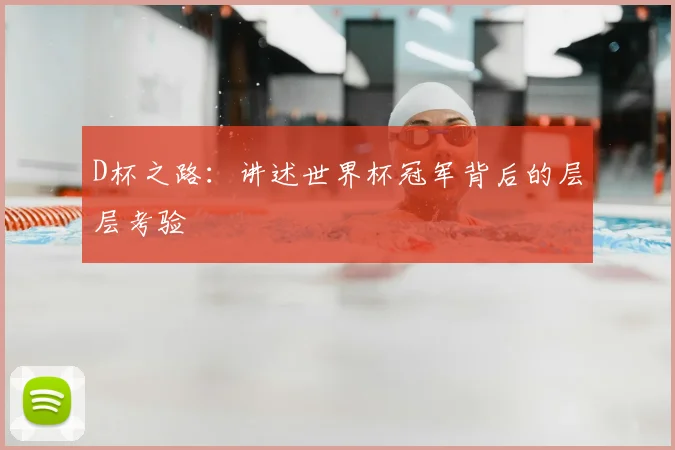 D杯之路:讲述世界杯冠军背后的层层考验