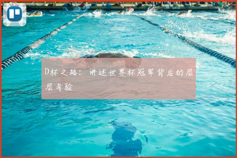 D杯之路：讲述世界杯冠军背后的层层考验