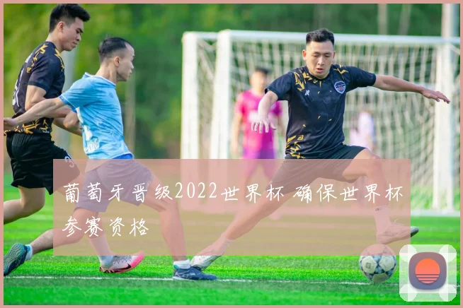 葡萄牙晋级2022世界杯 确保世界杯参赛资格