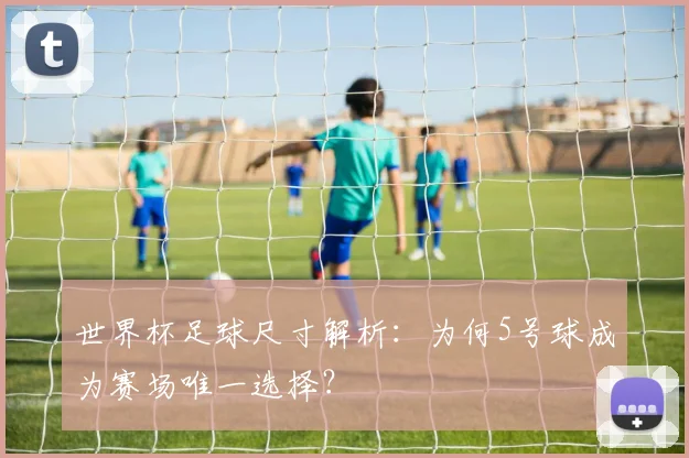 世界杯足球尺寸解析：为何5号球成为赛场唯一选择？
