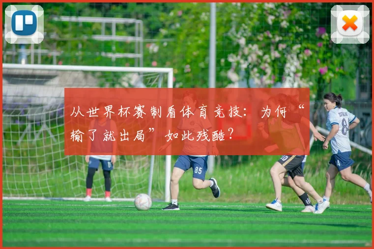从世界杯赛制看体育竞技：为何“输了就出局”如此残酷？